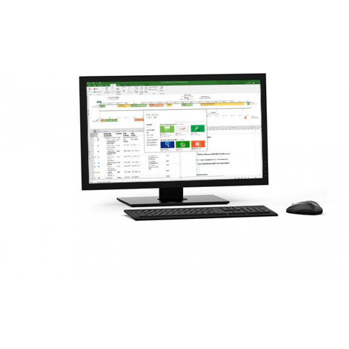 Microsoft Project Professional 2016 Microsoft Project Professional 2016
