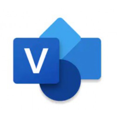 Visio Pro 2024 All Lng Retail Online ESD